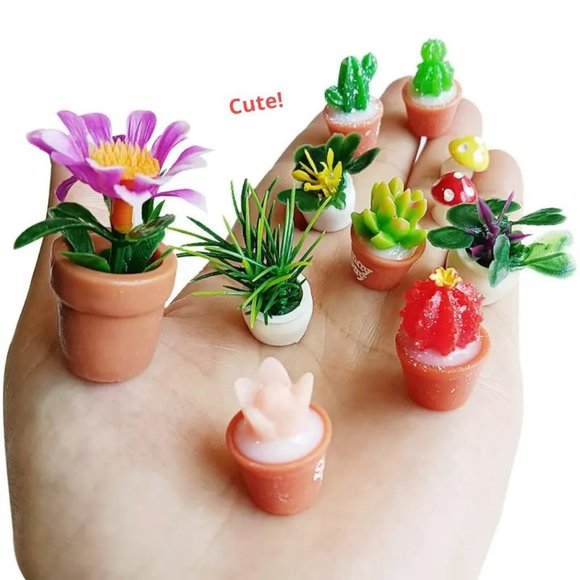 Succulent shoe charm garden houseplants mushroom cactus violet - Picture 5 of 12